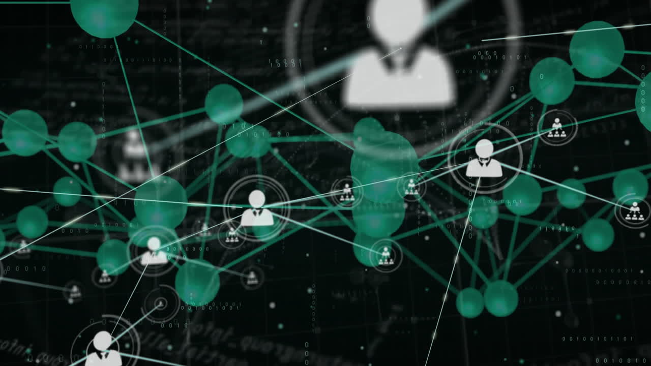 Animation of network of connections over data processing