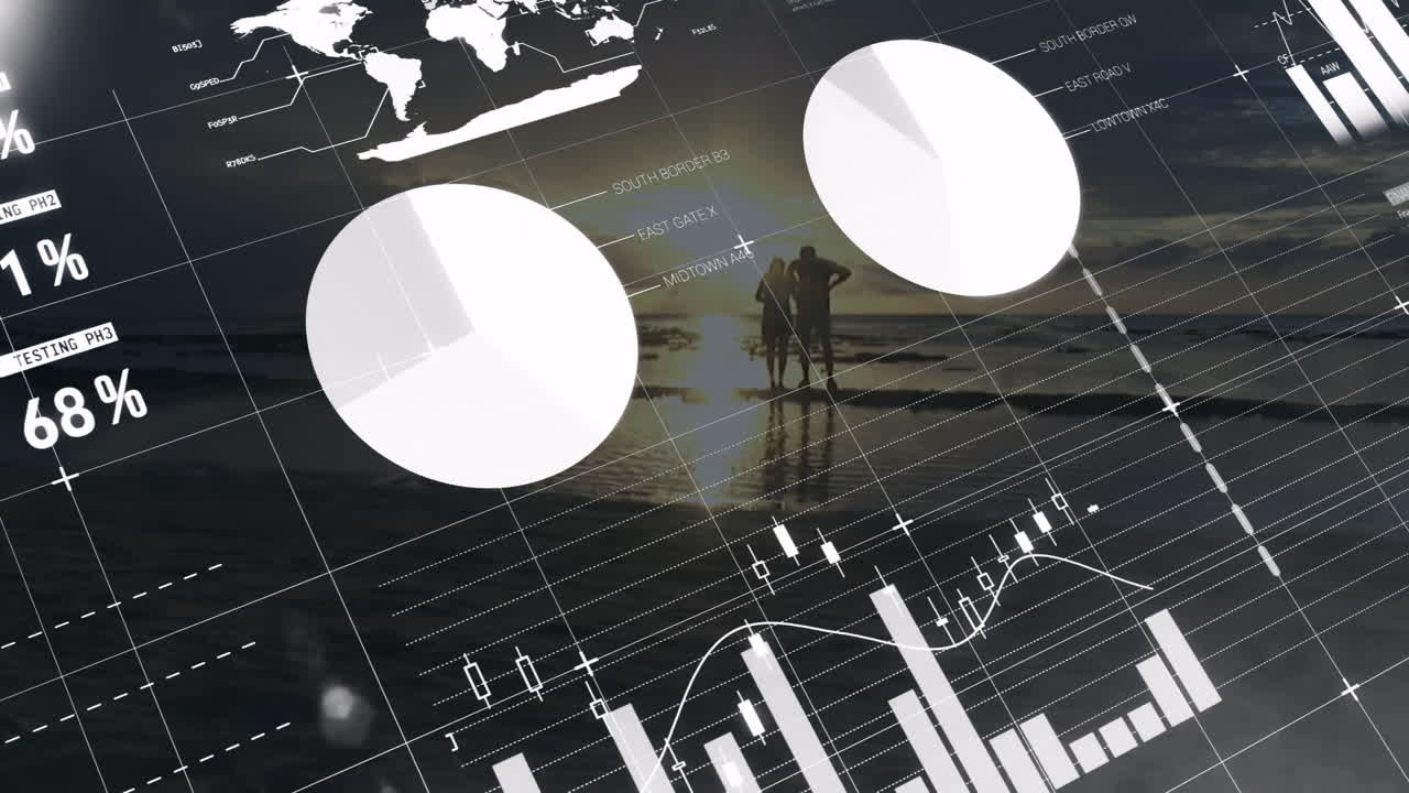 금융 차트 및 파이 그래프: 해가 지는 해안 풍경에 대한 애니메이션