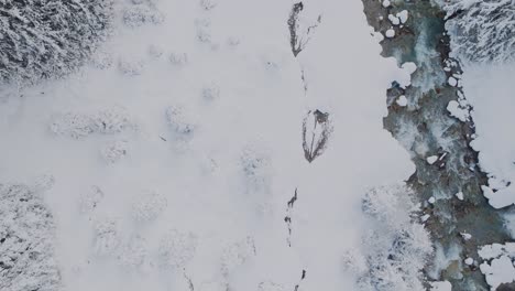 Impresionante-Paisaje-Invernal-De-Montaña