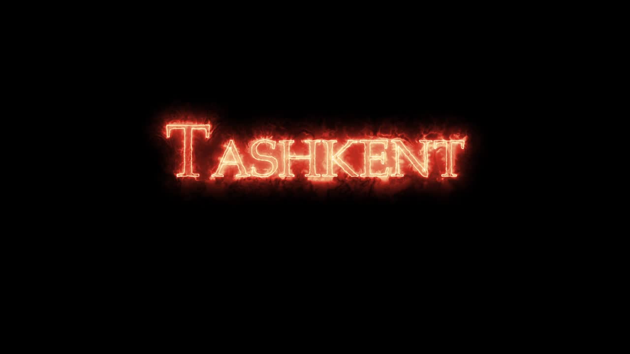 타슈켄트 (tashkent) 는 불로 쓰여진 루프입니다.