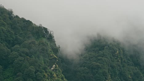 Nepal Timelapse of Clouds Moving in a Valley in the Himalayas Mountains, Time Lapse of Cloud Rolling Quickly Over Dramatic Rainforest Trees Scenery in the Himalayas Mountains Landscape