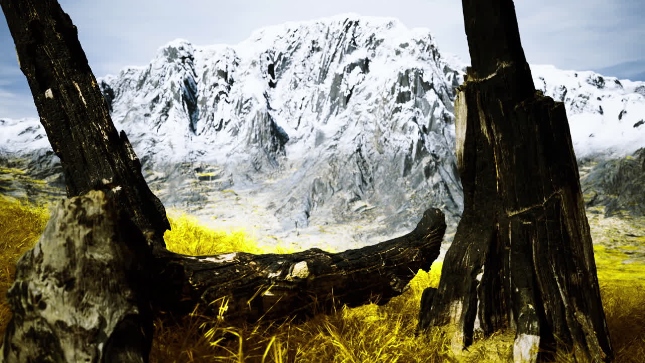 Snowy peaks seen through an old tree in a peaceful landscape