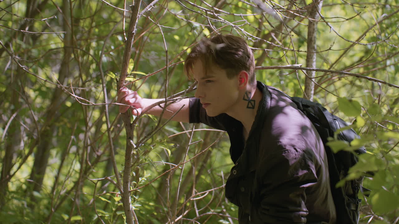 Side view of tourist in dark clothing holding tree branch while carefully scanning forest surroundings and detecting any danger ahead, with the sunlight casting soft light through dense green woods
