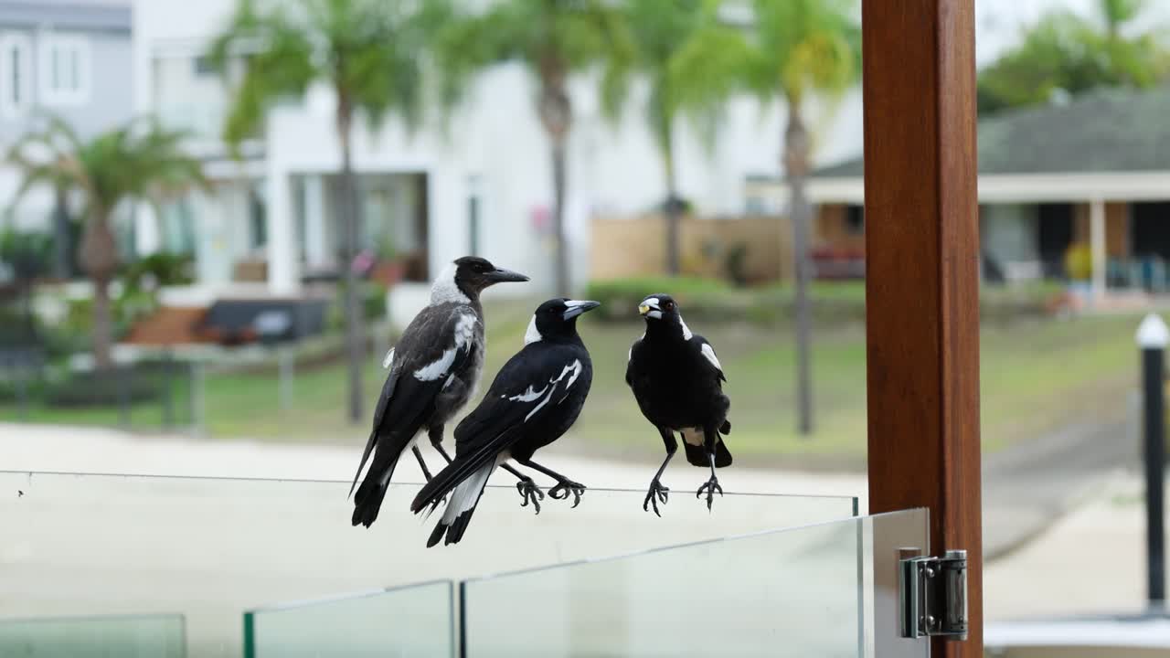 서로 상호 작용 하고 함께 앉아 있는 마기 들 의 집단