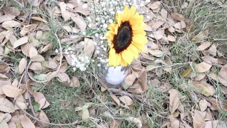 Girasol-Amarillo-Con-Aliento-De-Bebé-En-Un-Jarrón-En-El-Suelo-Con-Hojas-Secas-Caídas-En-El-Lugar-De-La-Boda-Del-Jardín