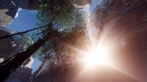 luz del sol dentro de una cueva misteriosa