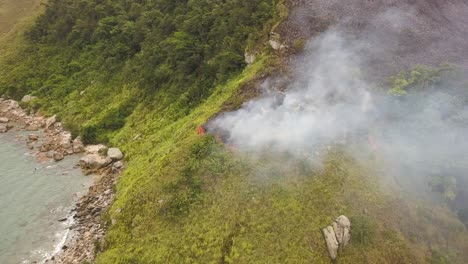 aerial approaching fire consuming coastal mountain vegetation, brazil