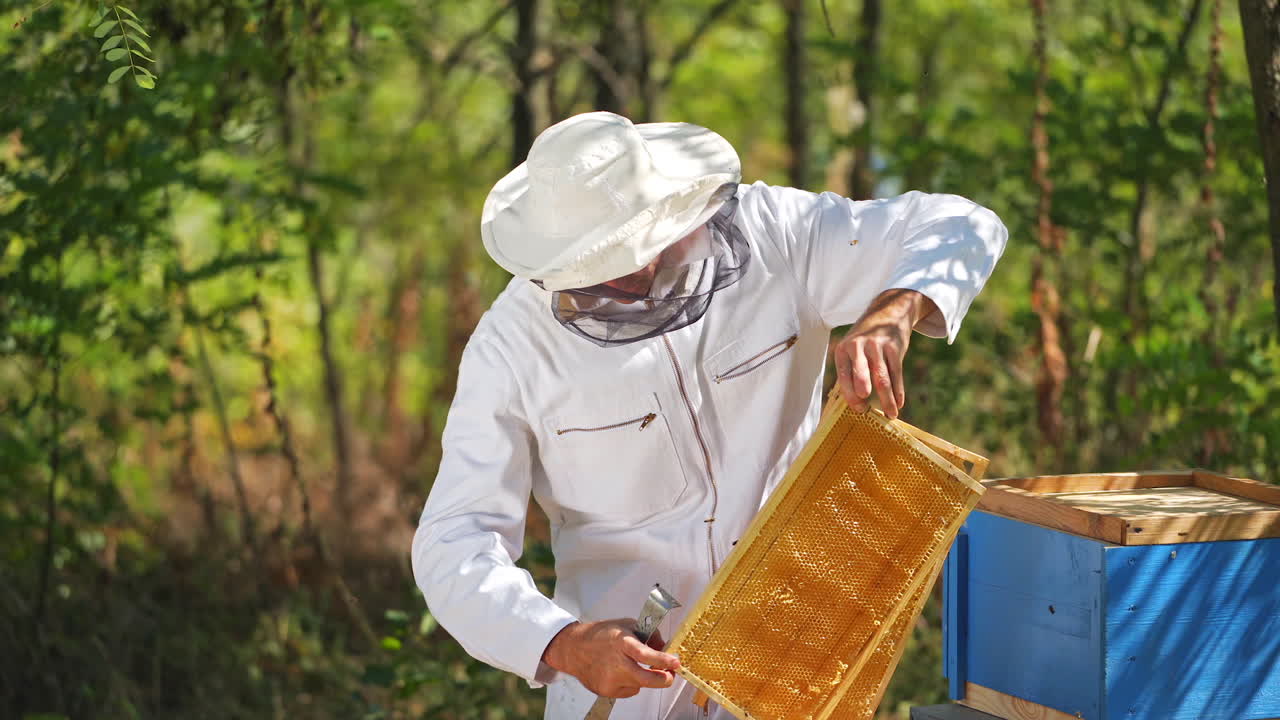Beekeeper is working with bees and beehives on the apiary. Frames of a bee hive