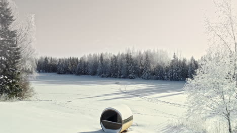 Alternatives-Wohnen-In-Kleinen-Häusern-Inmitten-Schneebedeckter-Winterwälder