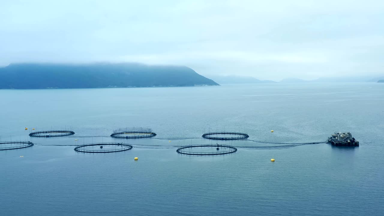 노르웨이에서 연어  ⁇ 시를 하는 공중 촬영