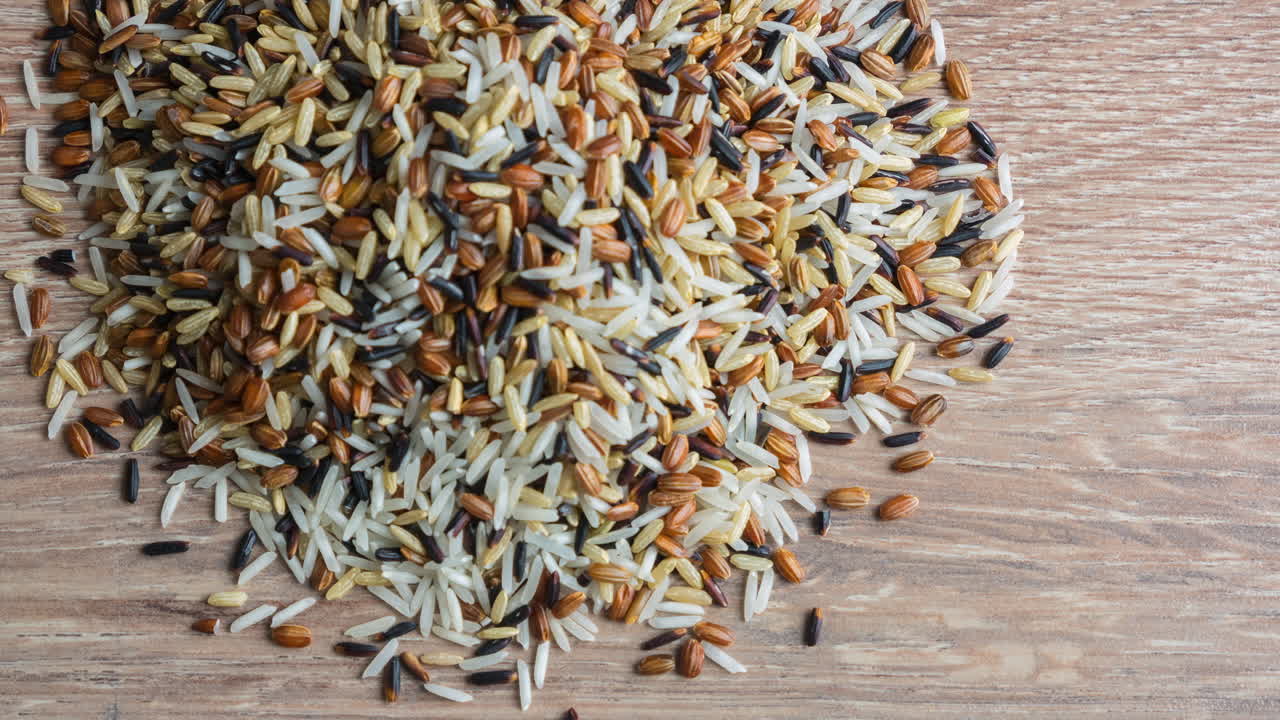 스톱 모션 비디오 2