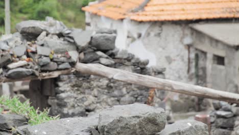 abandoned village house ruins