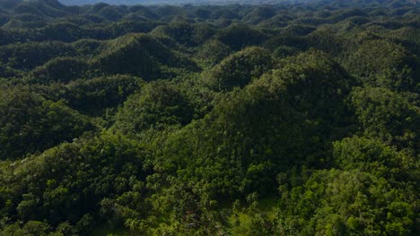 Una-Exuberante-Vegetación-Cubre-Colinas-En-Una-Vista-Aérea-De-La-Isla-De-Bohol,-Filipinas,-Bajo-La-Luz-Del-Día.