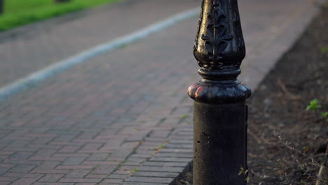 Menschen-Trainieren-Im-Park