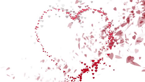 animación de corazones rosados moviéndose sobre un fondo blanco