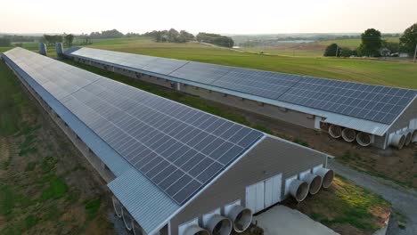 Solar-panels-on-agricultural-livestock-barns-in-USA