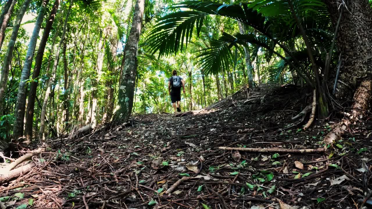 국립 공원 내의 열대 우림에서 하이킹하는 남자가 하이킹 트레일에서 카메라를 지나갑니다.