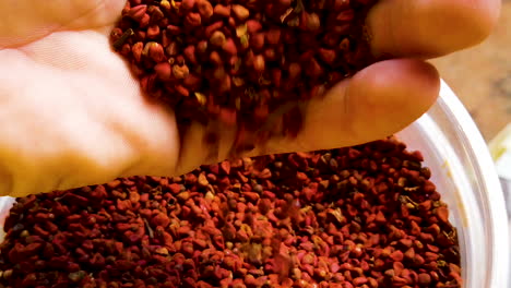 person with annatto seeds in hand, slow motion