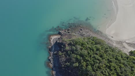 lush green forest covered the headland of myall beach amidst the clear blue ocean in cape tribulation, qld, australia