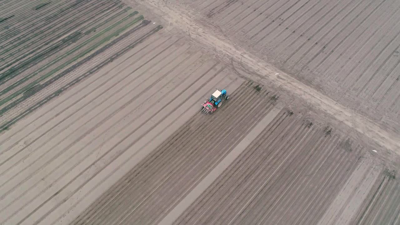 에 관개 시스템의 설치. 에서 일하는 트랙터의 공중 영상. 당근을 심는