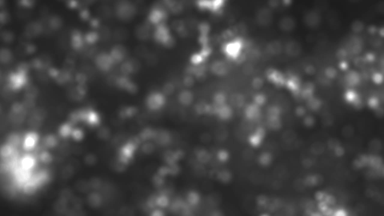 Animazione di sfondo con particelle in loop.