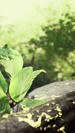 green leaves grow near a fallen log in a vibrant forest setting