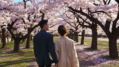 couple enjoying a romantic walk under cherry blossoms