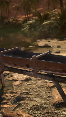 ancient wooden boat in a desert oasis