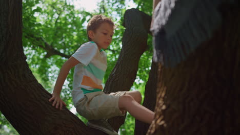 Aktiver-Junge-Klettert-Aus-Nächster-Nähe-Auf-Einen-Baum-Im-Park.-Tapferes-Kind,-Das-Auf-Einem-Hohen-Ast-Sitzt.