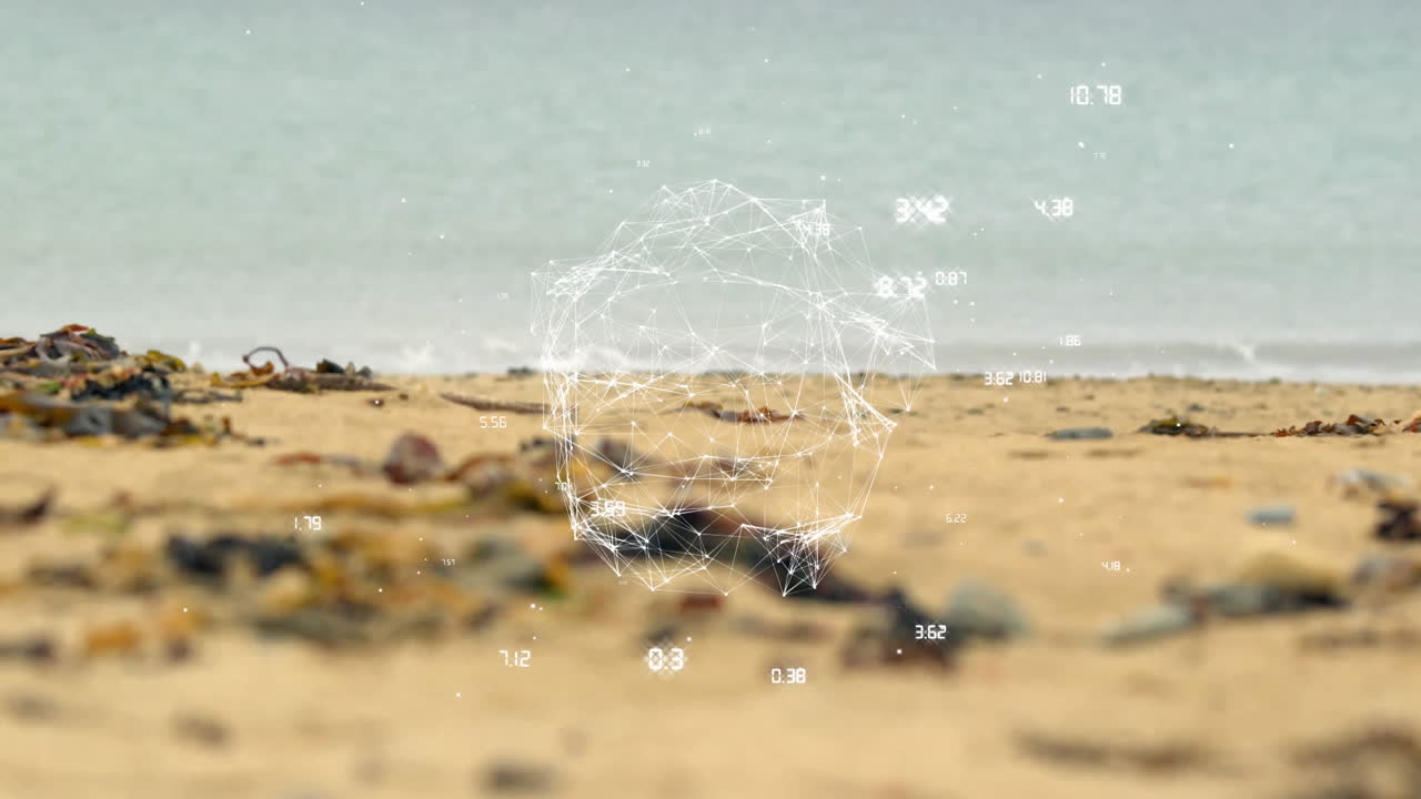 Geometric network and data points animation over beach and ocean background