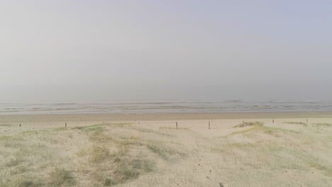 beachgrass on white sand dunes by the beach on a summer day