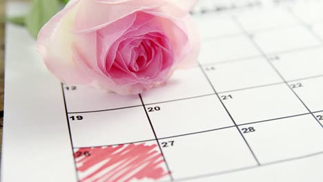 pink rose on calendar