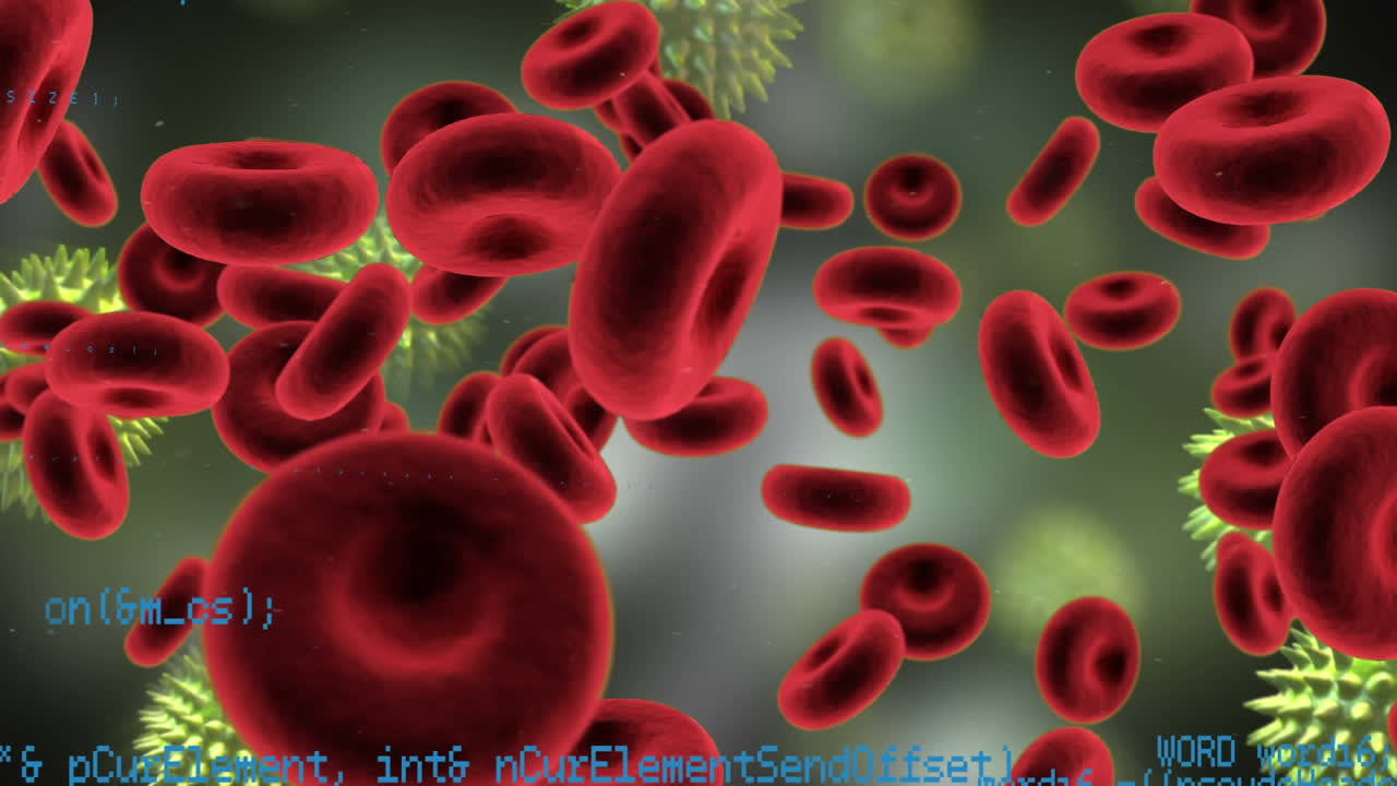 glóbulos rojos y células bacterianas