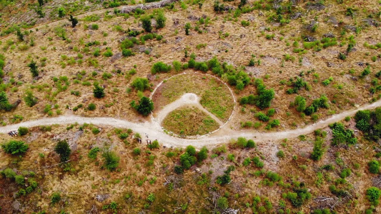 círculos de piedra históricos en el bosque de tuchola cerca del pueblo de lesno, condado de chojnice, polonia - drone aéreo