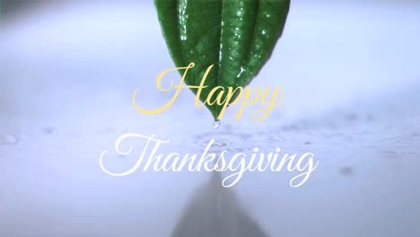 Animation-of-happy-thanksgiving-text-over-leaf