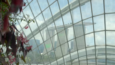 Marina-by-the-Bay-Singapore-view-from-Cloud-forest-waterfall-window-Singapore