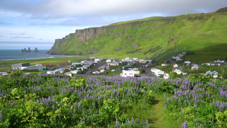 la hermosa ciudad de vik i myrdal islandia en verano.