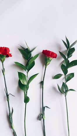 red carnations and leaves arrangement