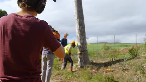 leñador examinando el tronco del árbol antes de cortarlo