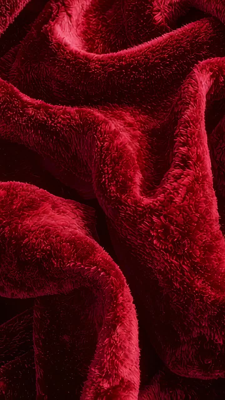 Vertical video: Shifting camera revealing red plush blanket close-up, emphasizing soft pile texture