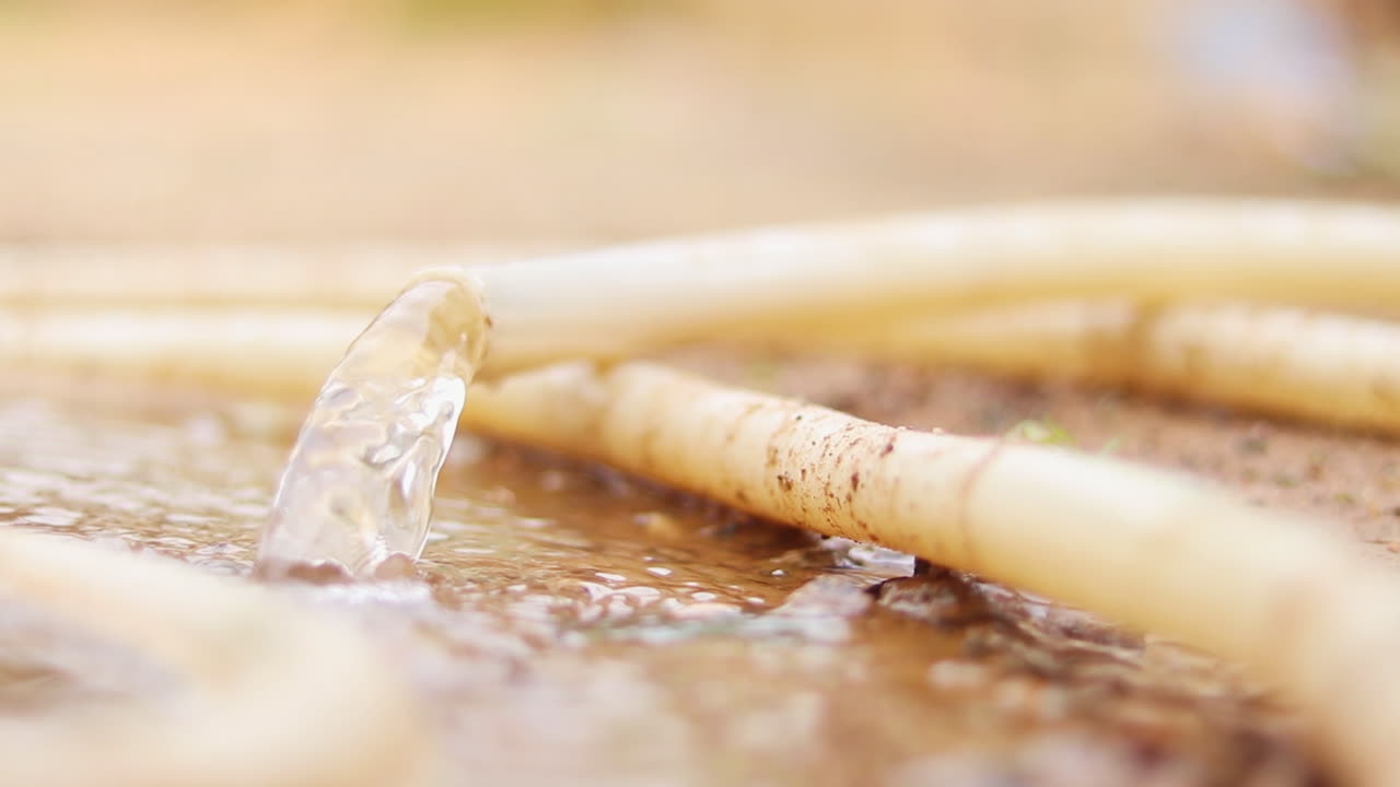 Wide view of a long garden hose spilling water on the muddy ground