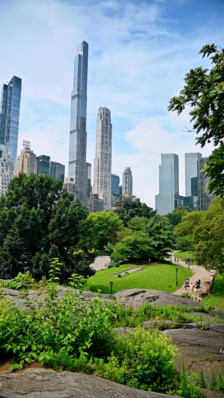 Greenery meets skyscrapers in CP. Tall buildings rise behind lush trees in Central Park, showcasing a mix of nature and modern architecture in Manhattan