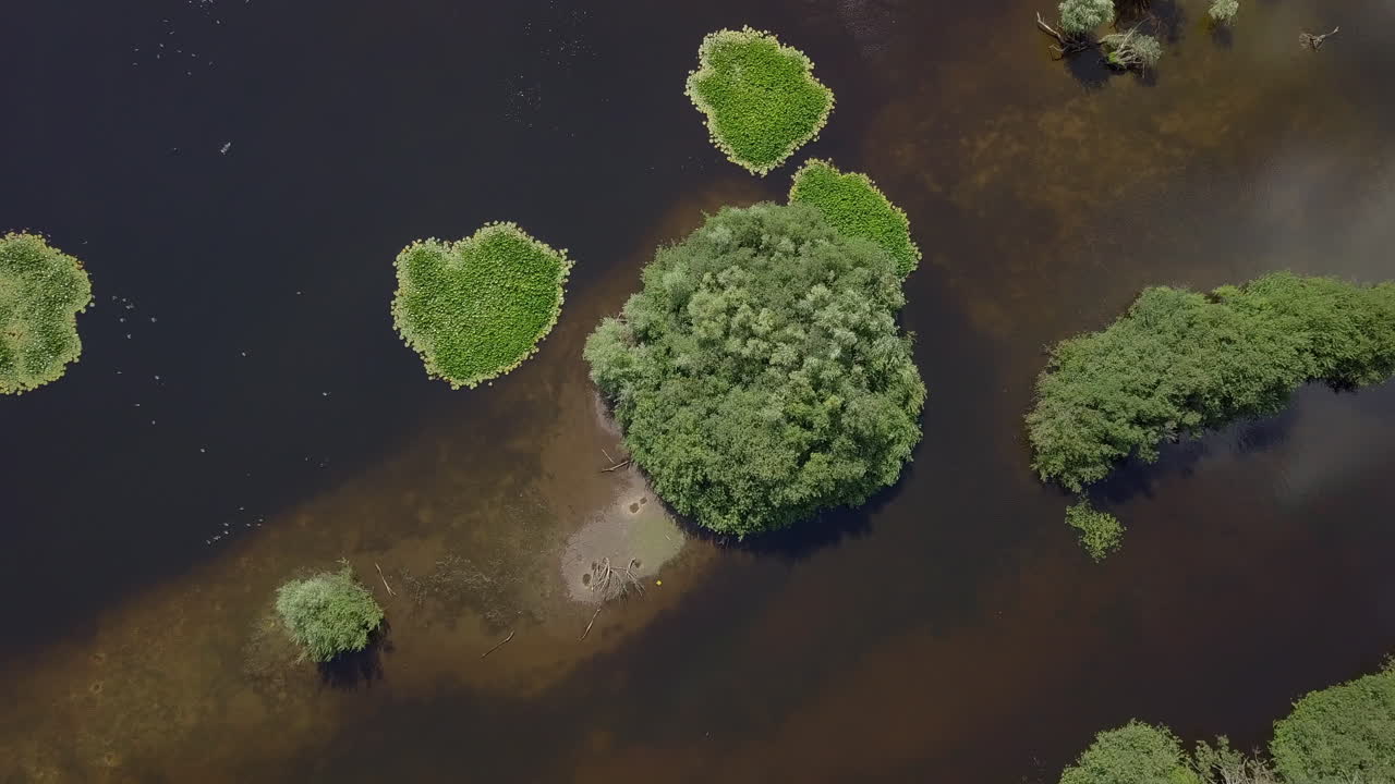 toma aérea de drones de la vista de arriba hacia abajo de las hermosas islas pequeñas en el lago