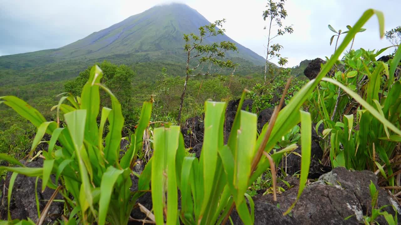 Primo piano sull'erba, che rivela una vista panoramica del vulcano Arenal in Costa Rica, in una luminosa giornata di sole.