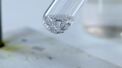 detailed view of bubbles forming in a test tube during a chemical reaction.