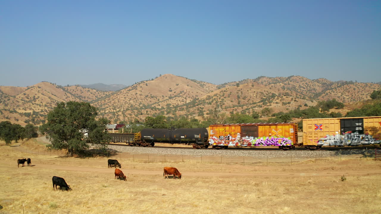 tren rodando por el campo del sur de california con vacas pastando en el campo
