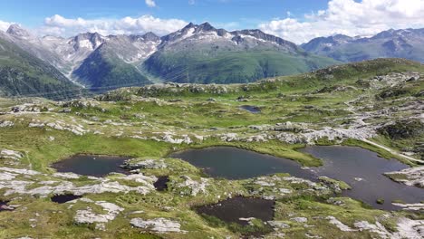 green alpine meadows with small ponds beneath the grimselpass, swiss alps