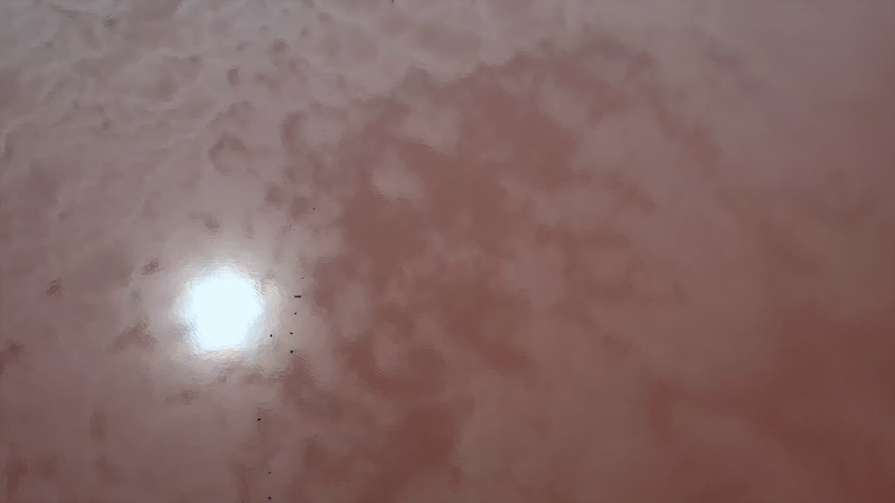 Pink Lake with Wooden Structures