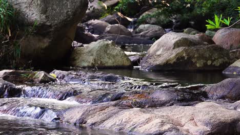 shallow rocky bottom river flow among boulders, zen natural pristine scenery