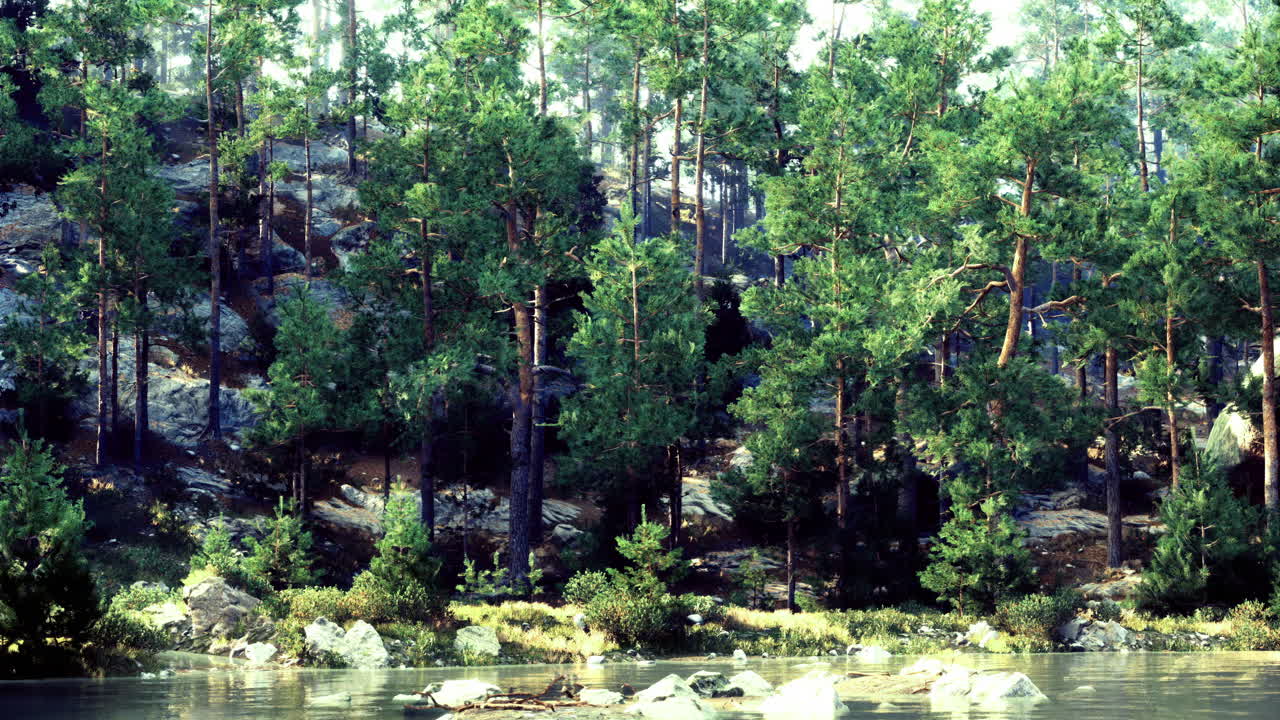 Calm lake reflections of vibrant forest in morning light